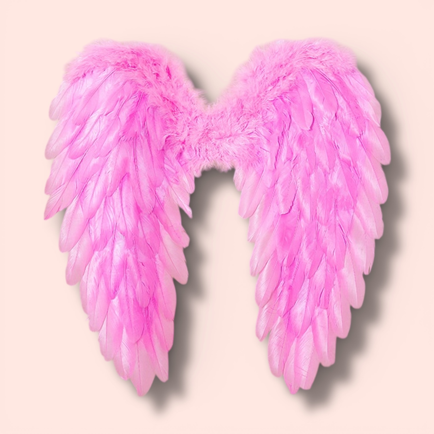 Photoroom_20260106_233140